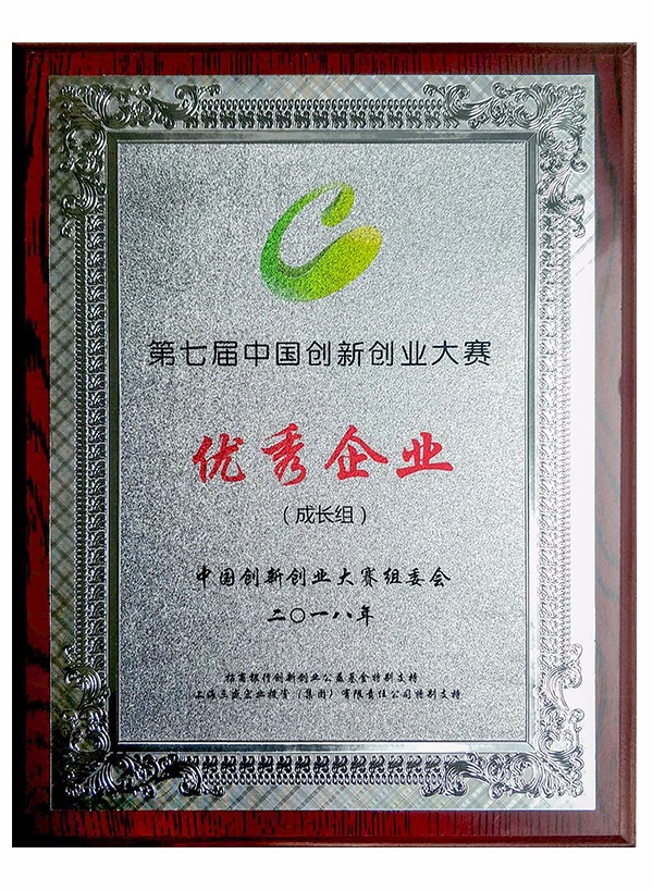 創(chuàng)新大賽全國(guó)總決賽優(yōu)秀企業(yè)獎(jiǎng)